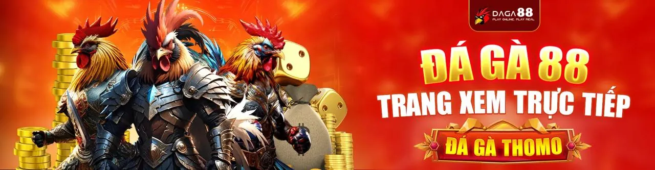 Hình ảnh đá gà trực tuyến kịch tính tại QT99 Nhà Cái